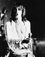 Rod Stewart bare chest performing live 12x18  Poster