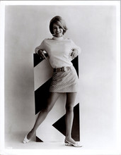 Angie Dickinson 8x10 photograph circa 1967 full body leggy pose in mini skirt
