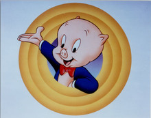 Porky Pig classic Looney Tunes character vintage 1980's 8x10 color photo