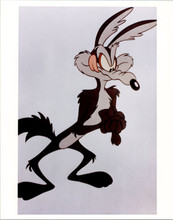 Wiley E Coyote Looney Tunes character vintage 1970's 8x10 photo