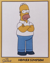 The Simpsons TV series 8x10 photo Homer Simpson