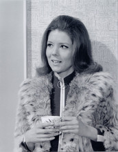 Diana Rigg as Mrs Peel in fur trimmed jacket 8x10 photo The Avengers tv series