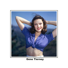 Gene Tierney 1940's glamour pose in blue shirt tied at waist posing in LA 8x10