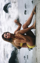 Raquel Welch beautiful 1960's pose in yellow bikini sat on beach 8x10 photo