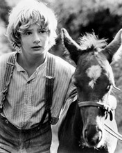 Mark Lester with donkey Run Wild Run Free 1970 movie 8x10 photo