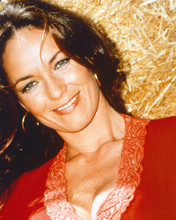 Catherine Bach busty pose in red top by bale of straw Dukes of Hazzard 8x10