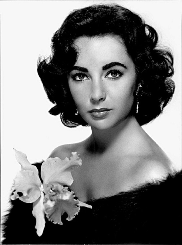 Elizabeth Taylor beautiful studio portrait bare shoulders in black