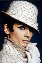 Audrey Hepburn stylish studio portrait in matching hat and coat 4x6 inch photo