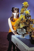 Barbra Streisand sits next to flowers on table circa 1960's 4x6 inch photo
