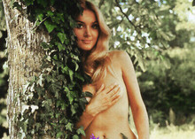 Barbara Bouchet 1960's pose hands over breasts sexy 5x7 inch photograph