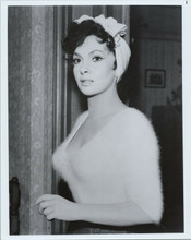 Gina Lollobrigida young pose wearing headscarf & very low cut white sweater 8x10