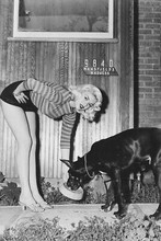 Jayne Mansfield Leggy Pose With Pig 24x36 Poster(60x91cm)