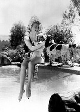 Lucille Ball 1940's pose in swimsuit sitting on diving board with dogs 5x7 photo