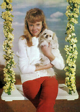 Hayley Mills sitting on swing with small dog 5x7 inch publicity photo circa 1964