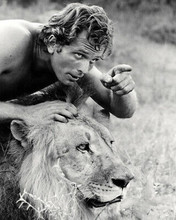 Ron Ely as Tarzan 1966 TV series sitting atop lion 5x7 inch photo