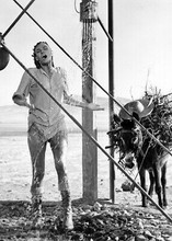 Raquel Welch iconic sexy showering outdoors in wet shirt 100 Rifles 5x7 photo