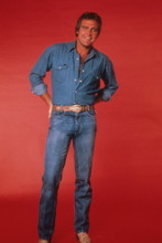 LEE MAJORS FINE QUALITY 8X12 PREMIUM PRINT 602664