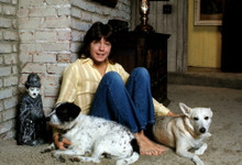 DAVID CASSIDY FINE QUALITY 8X12 PREMIUM PRINT 602658