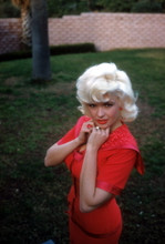 JAYNE MANSFIELD FINE QUALITY 8X12 PREMIUM PRINT 602655