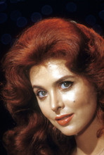 TINA LOUISE FINE QUALITY 8X12 PREMIUM PRINT 602626