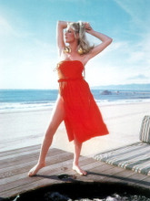 SUZANNE SOMERS FINE QUALITY 8X12 PREMIUM PRINT 602373