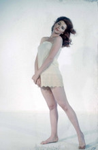 TINA LOUISE FINE QUALITY 8X12 PREMIUM PRINT 602230