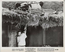 Blood of the Dragon original 1973 8x10 photo Wang Yu in action