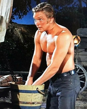 Denny Miller Tarzan star guests in Wagon Train episode beefcake pose 8x10 photo