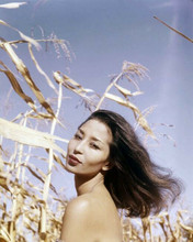 China Machado iconic fashion model bare shouldered glamour pose 8x10 photo