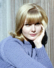 Carol Lynley smiling 1960's head and shoulders portrait in blue sweater 8x10