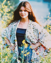 VALERIE BERTINELLI COLOR 8X10 PHOTOGRAPH