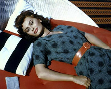Sophia Loren stunning glamour pose in blue dress lying on sofa 1950's 8x10 photo