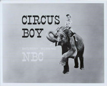 Circus Boy TV series Micky Dolenz on elephant 8x10 photo