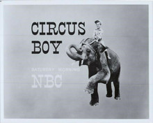 Circus Boy TV series Micky Dolenz on elephant 8x10 photo