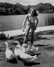 Anita Ekberg full length pose in bikini by lake 8x10 inch photo
