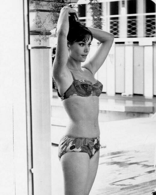 Claudine Auger James Bond Girl In Bikini Standing By Pool 8x10 Inch Photo Moviemarket