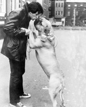 Rocky Sylvester Stallone as Rocky Balboa with his dog 8x10 inch photo