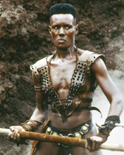 Grace Jones looks fierce as Zula Conan the Destroyer 8x10 inch photo