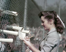 Debbie Reynolds signs autographs for fans by chain fence 1950's 8x10 inch photo