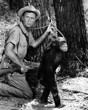 Daktari TV series Marshall Thompson holds rifle in bush with Judy the Chimp 8x10
