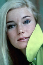 Yvette Mimieux beautiful portrait in green blouse 1960's 4x6 inch photo