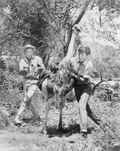 Daktari TV series Marshall Thompson Yale Summers in bush with emu 8x10 photo