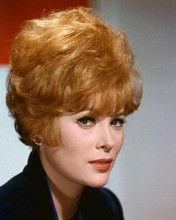 Jill St. John beautiful 1960's studio portrait with famous red hair 8x10 photo