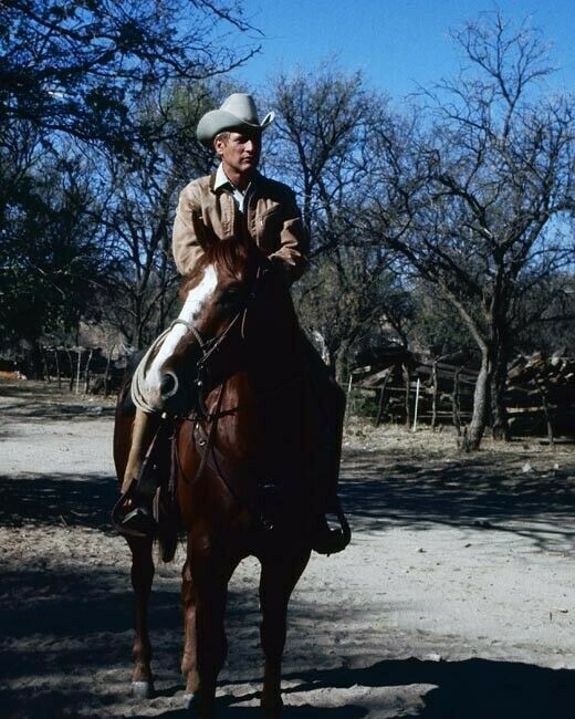 Butch Cassidy & The Sundance Kid original lobby card Redford & newman on horses 