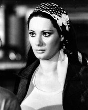 Edwige Fenech 1960's portrait wearing scarf on head 8x10 inch photo