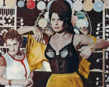 Sophia Loren in black bra corset opening her shirt 8x10 inch photo