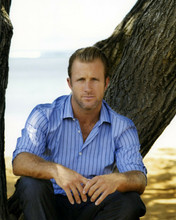 Scott Caan in blue shirt sitting on beach 8x10 inch photo Hawaii Five-O