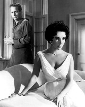 Cat on a Hot Tin Roof Paul Newman as Brick Elizabeth Taylor as Maggie 8x10 photo