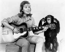 Daktari TV series Cheryl Miller as Paula Tracy with Judy the chimp 8x10 photo