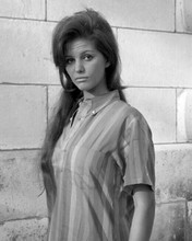 Claudia Cardinale gorgeous 1960's portrait in striped shirt 8x10 inch photo